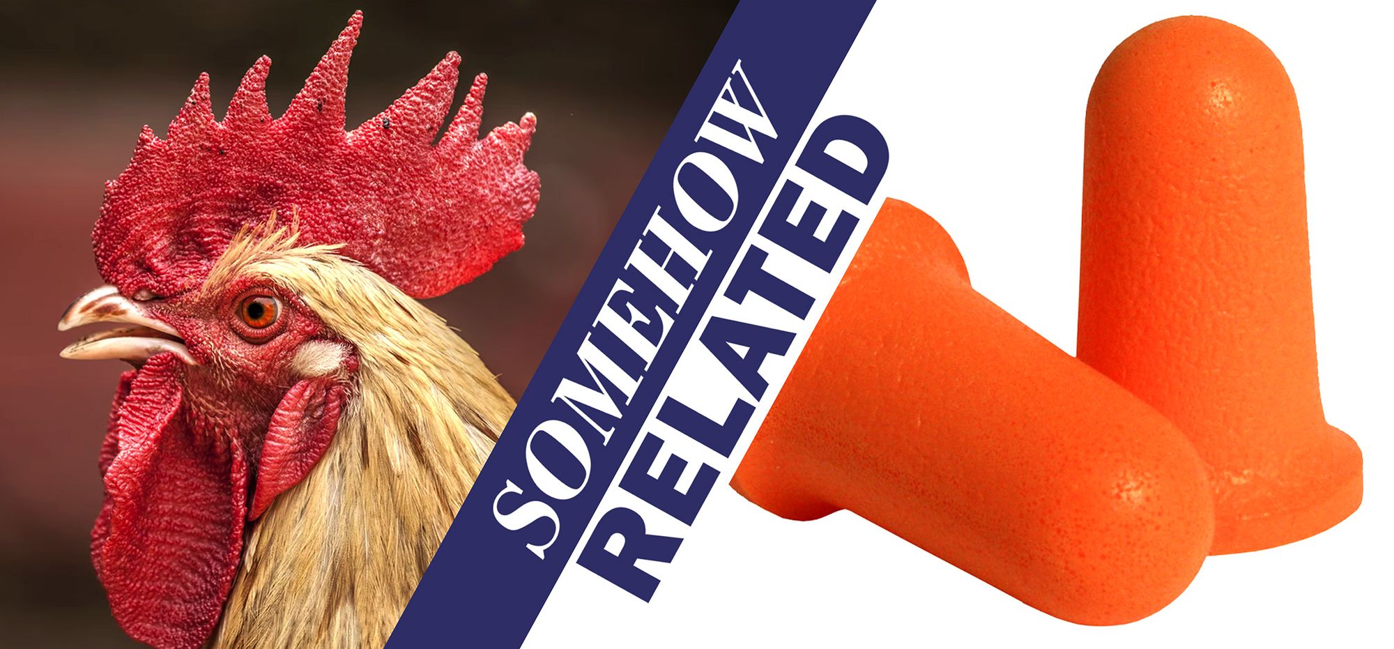 Roosters and ear plugs on Somehow Related podcast with Glenn Robbins and Dave O'Neil